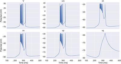 Analysis of the Neuron Dynamics in Thalamic Reticular Nucleus by a Reduced Model